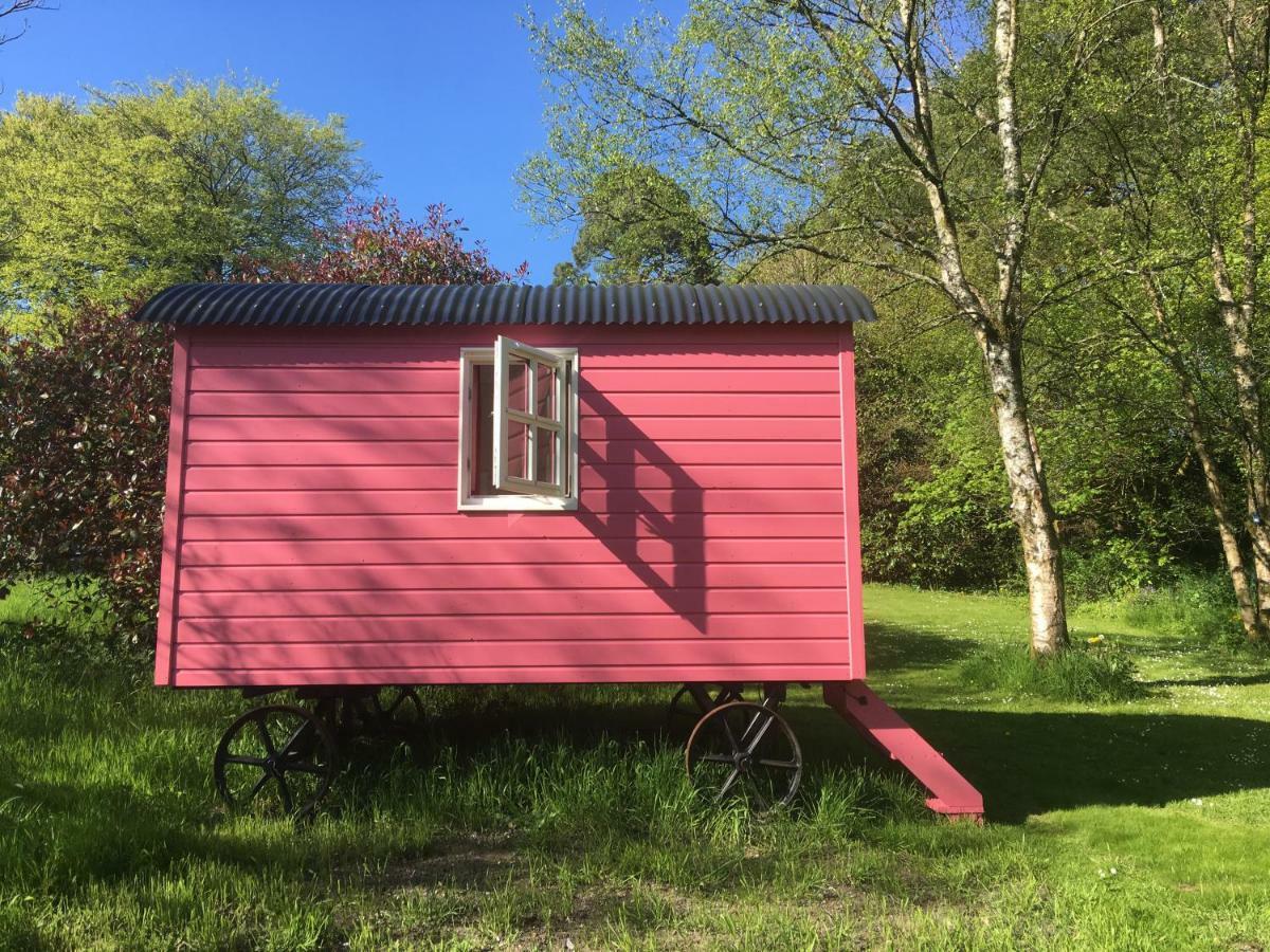 Blackstairs Shepherds Huts Killedmond Buitenkant foto